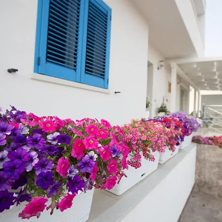 B&B Villa Patrizia Selinunte-3